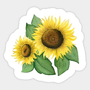 Sunflower blossom Sticker